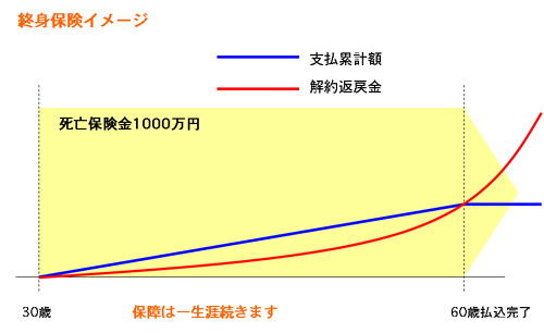 終身保険イメージ