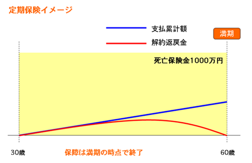 定期保険イメージ