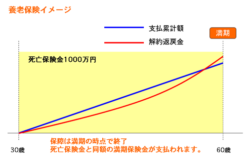 養老保険イメージ